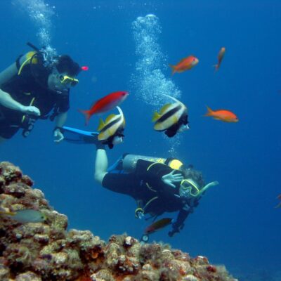 Caye Caulker Belize Diving