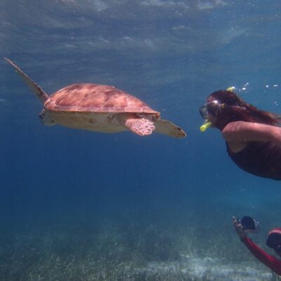 Caye Caulker Belize Snorkeling