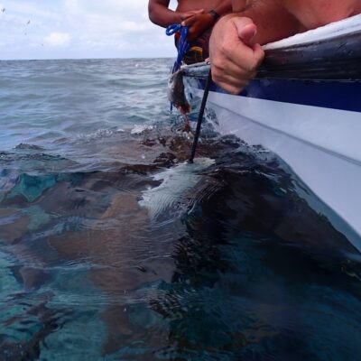 Caye Caulker Belize Fishing