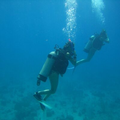 Caye Caulker Belize Diving
