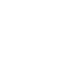 bicycles