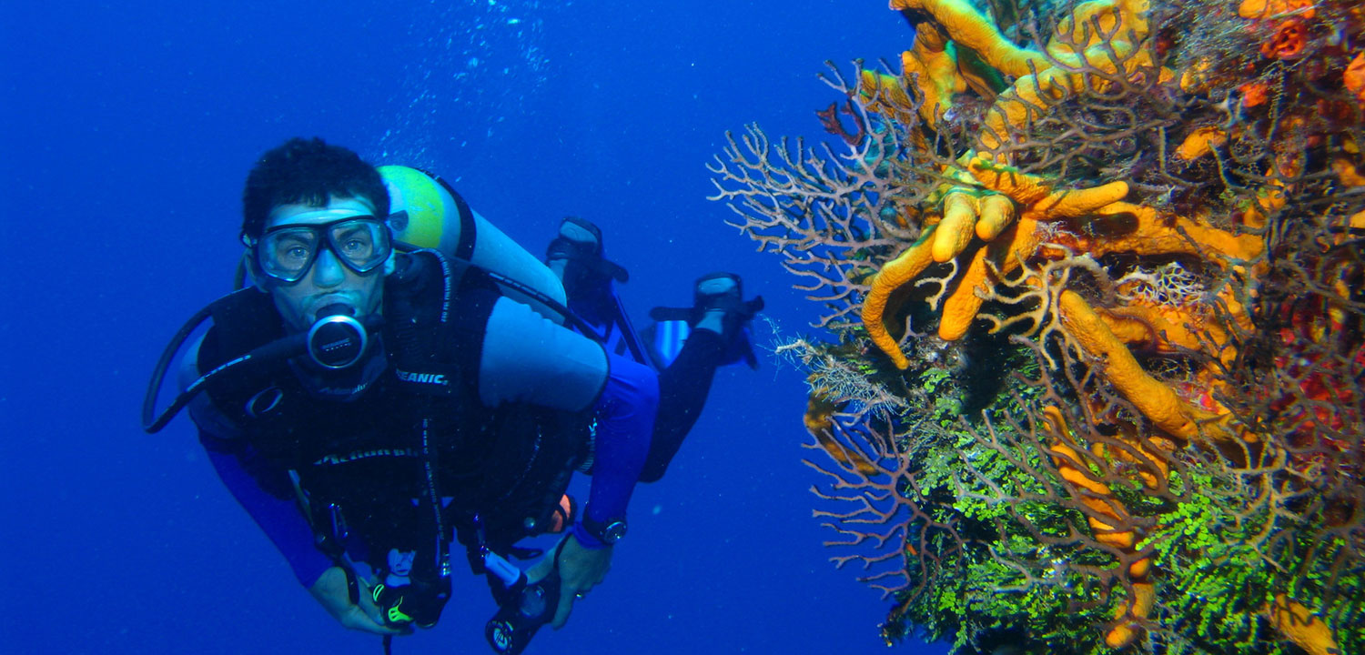 Caye Caulker Scuba Diving Iguana Reef Inn